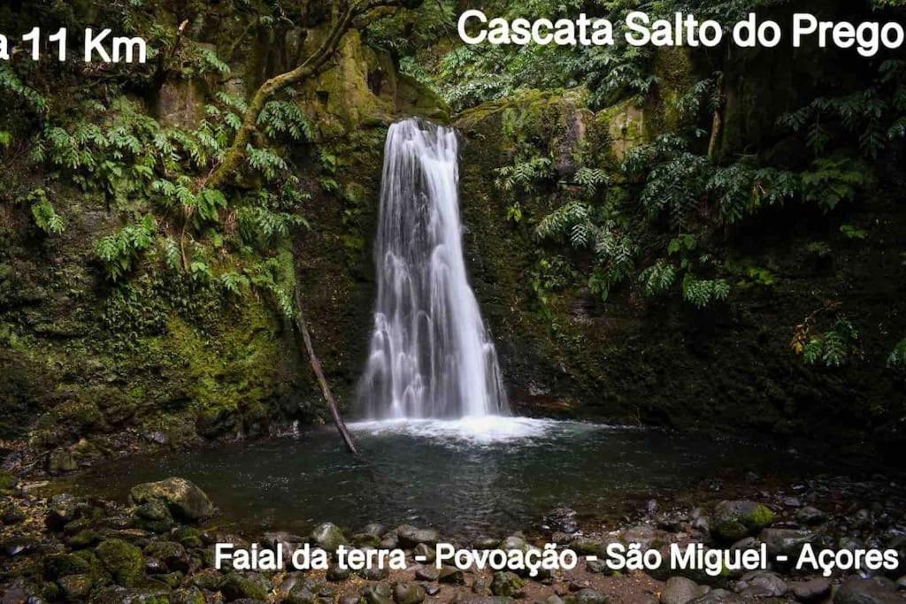 Vila The Spot - Ilha De Sao Miguel Povoacao  Exteriér fotografie